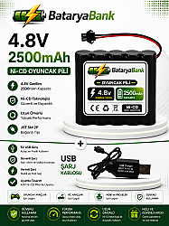 4.8V 2500mAh Oyuncak Pili Siyah Soket + USB Şarj Aleti | Ni-MH Şarjlı Batarya Seti - BataryaBank